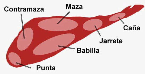 ¿Qué vino elegir para cada parte del jamón?