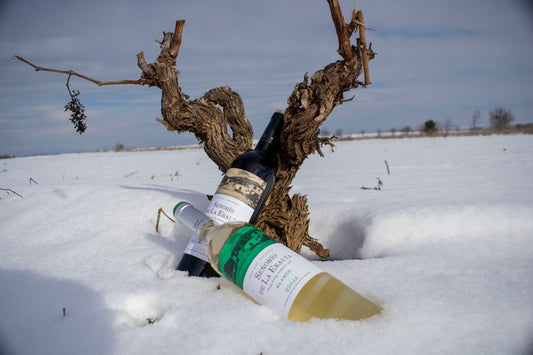 ¿Cómo sobrevive el viñedo Riojano al invierno?