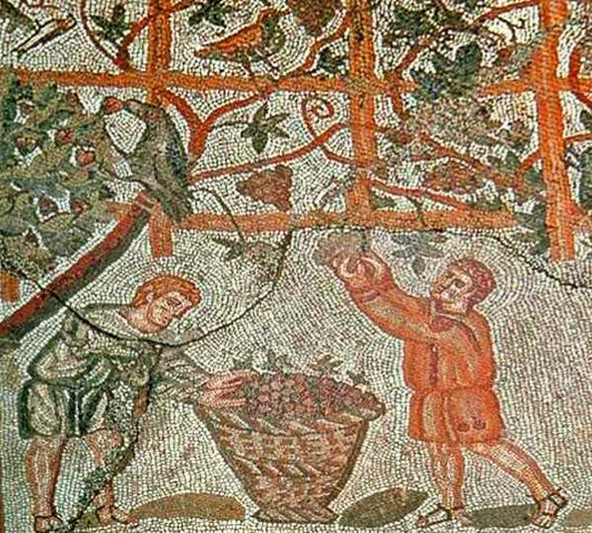 El origen del vino en España