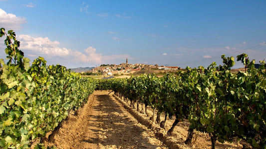 La cosecha de Rioja de 2022 es calificada como 'muy buena' por el Consejo Regulador