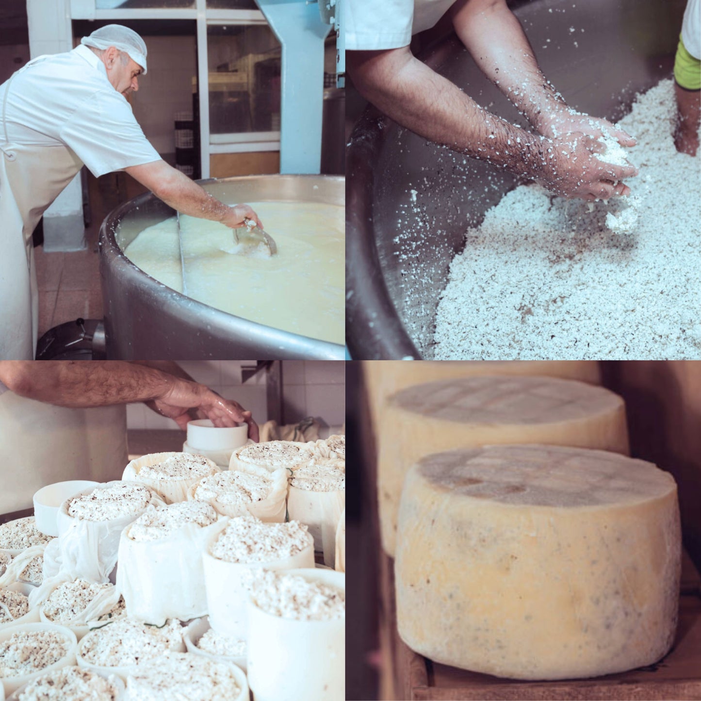 Cofre Reserva y Gran Reserva RIOJA con "Fantasías del queso"